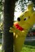 Gery de Bie
