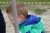 Stichting De IJsvogel