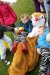 Stichting De IJsvogel