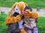 Stichting De IJsvogel