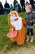 Stichting de IJsvogel