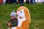 Stichting de IJsvogel