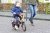Stichting De IJsvogel