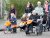Stichting De IJsvogel
