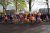 Stichting De IJsvogel