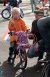 Stichting De IJsvogel