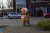 Stichting De IJsvogel