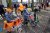 Stichting De IJsvogel