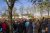 Stichting De IJsvogel