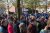 Stichting De IJsvogel
