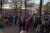Stichting De IJsvogel