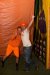 Wilco Steeneveld