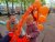 Redactie BHZNet.nl