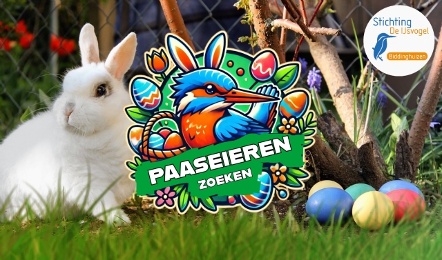 Paaseieren zoeken